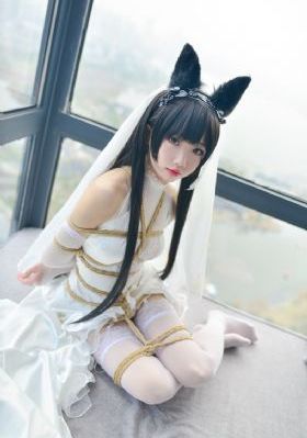 没有黄段子的世界